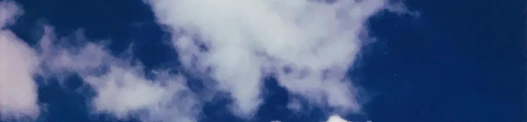 226.jpg