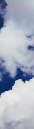 226.jpg