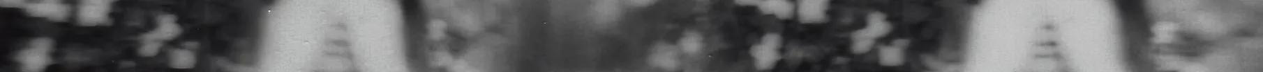 137.jpg