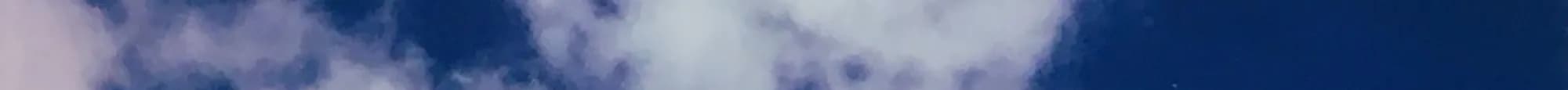 226.jpg